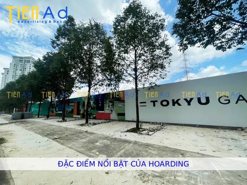 Đặc điểm nổi bật của hoarding